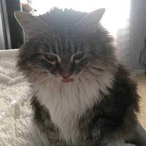 Meet your Posher, Meg